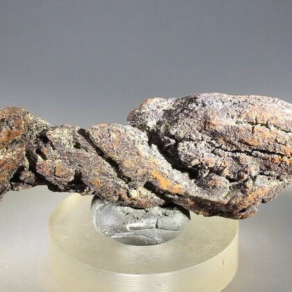Fossilised Coprolite ~70mm