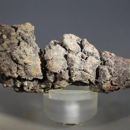 Fossilised Coprolite ~82mm