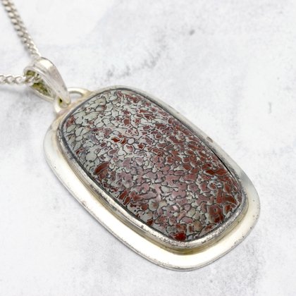 Fossilized Dinosaur Bone & Silver Pendant - Rectangle 43mm