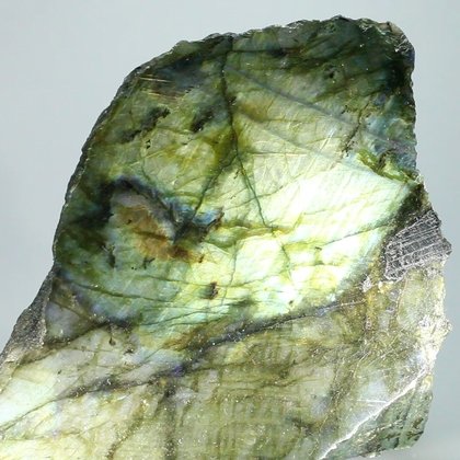 LOVELY Free Standing Labradorite (Part Polished) ~113mm