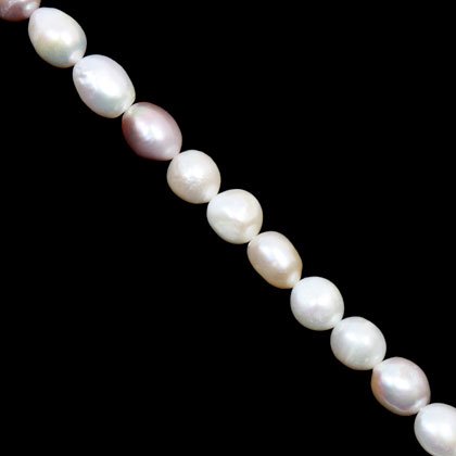 Freshwater Pearl Beads - 15mm Mixed Shade