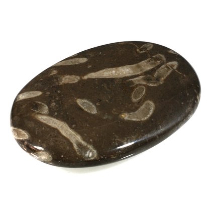 Frosterley Marble Palmstone (Extra Grade) ~68 x 48mm