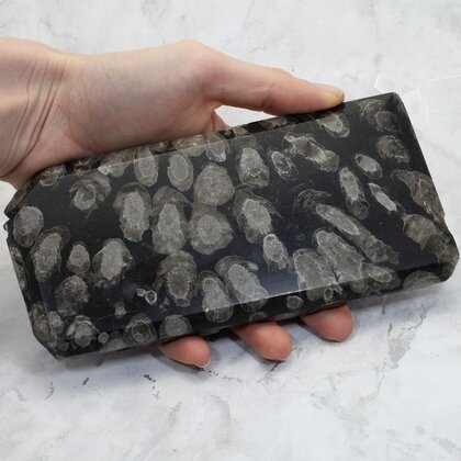 Frosterley Marble Polished tablet ~17.5 x 8.2mm