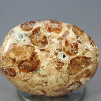 Garnet in Limestone Polished Stone ~33mm