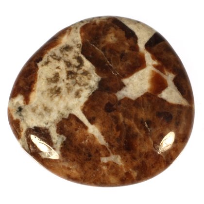 Garnet in Limestone Polished Stone ~ 38mm