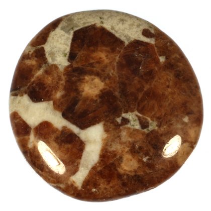 Garnet in Limestone Polished Stone ~ 40mm