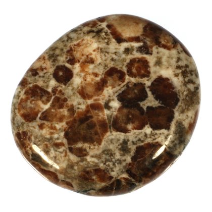 Garnet in Limestone Polished Stone  ~ 40mm