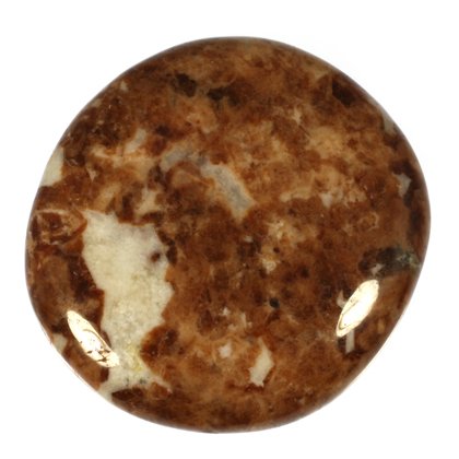 Garnet in Limestone Polished Stone ~ 42mm