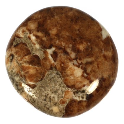 Garnet in Limestone Polished Stone ~ 43mm