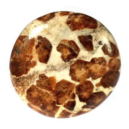 Garnet in Limestone Polished Stone ~45mm