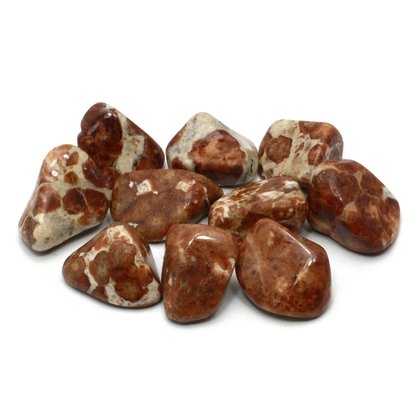 Garnet in Limestone Tumble Stones (20-25mm)