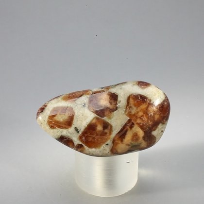 Garnet in Limestone Tumblestone ~37mm