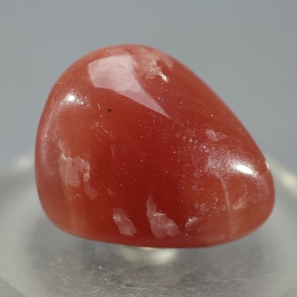 Gem Rhodochrosite Tumblestone  ~25mm