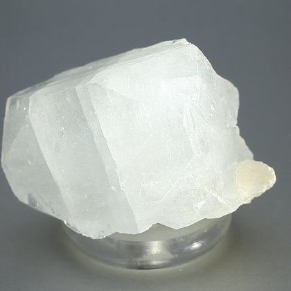 Giant Apophyllite Crystal  ~60mm