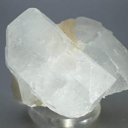 Giant Apophyllite Crystal  ~65mm