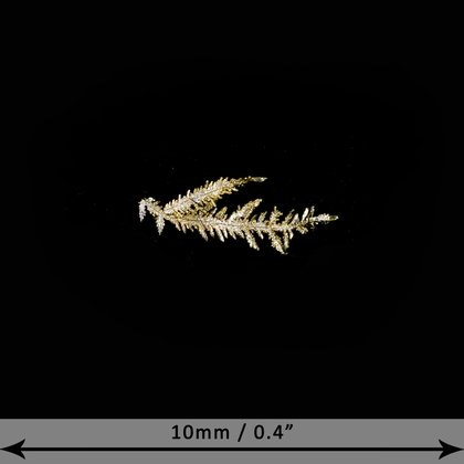 Gold Crystal - Micro Specimen