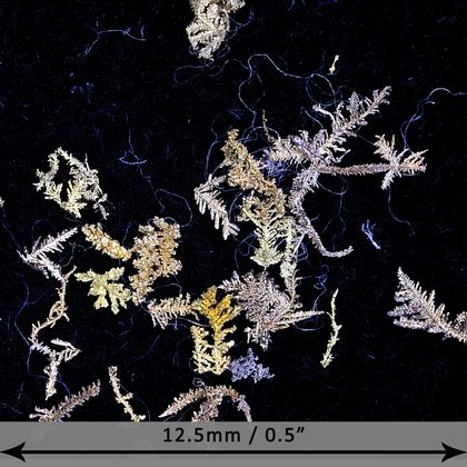 Gold Crystal - Micro Specimens