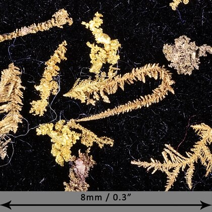 Gold Crystal - Micro Specimens