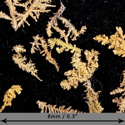 Gold Crystal - Micro Specimens