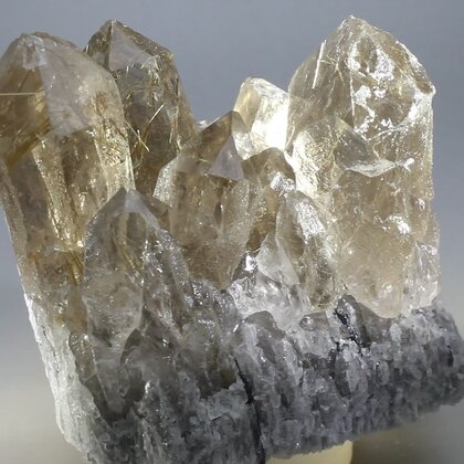 Gold Rutile Quartz Crystal Cluster ~60 x 60mm