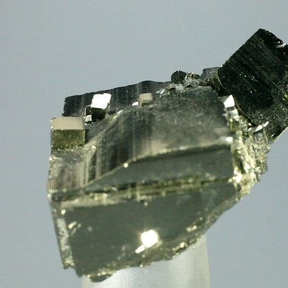 Golden Iron Pyrite Complex Healing Mineral (Collector Grade) ~44x34mm