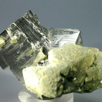 GOLDEN Iron Pyrite Complex Healing Mineral (Collector Grade) ~6.4x3.8cm