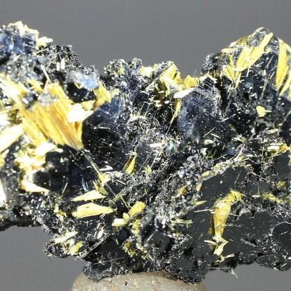 Golden Rutile with Hematite Healing Mineral ~35mm