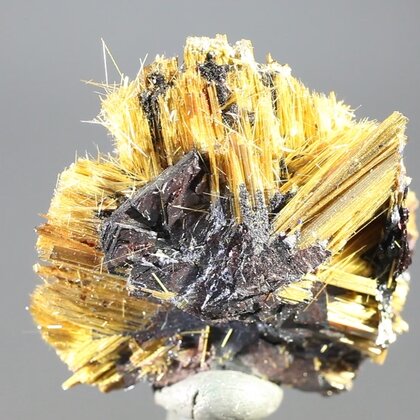 Golden Rutile with Hematite Healing Mineral ~35mm
