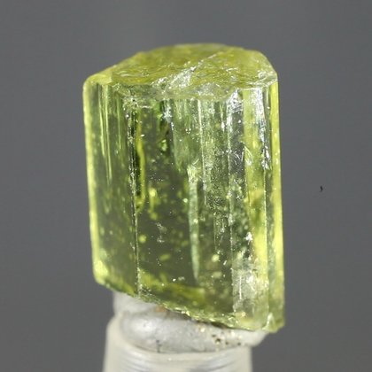 Green Apatite Healing Crystal ~17mm