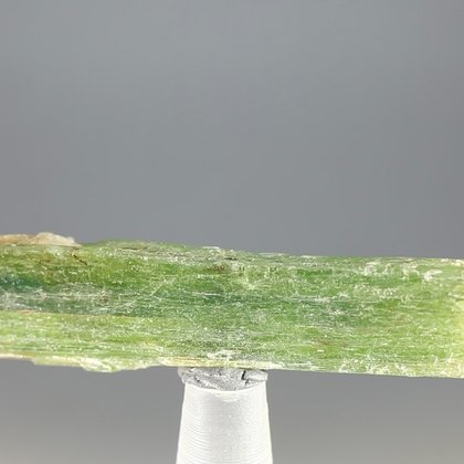 Green Kyanite Healing Crystal ~52mm