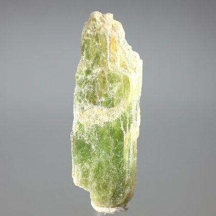 Green Kyanite Healing Crystal ~54mm