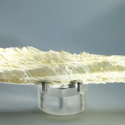 Honey Gypsum Healing Crystal ~180mm