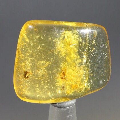 Insect in Amber Specimen ~32mm