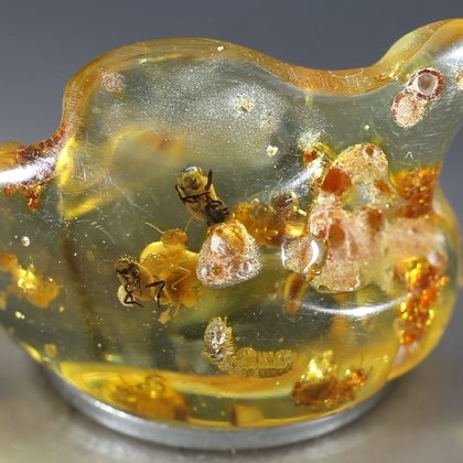 Insect in Amber Specimen ~36mm