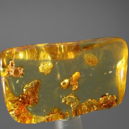 Insect in Amber Specimen ~42mm