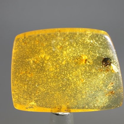 Insect in Amber Specimen ~42mm