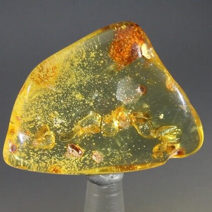 Insect in Amber Specimen ~43mm