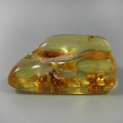 Insect in Amber Specimen ~48mm