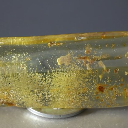 BEAUTIFUL Insect in Amber Specimen ~60mm