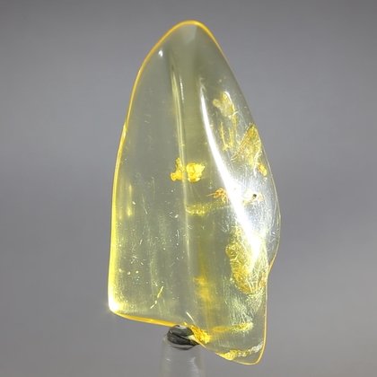 Insect in Amber Specimen ~62mm