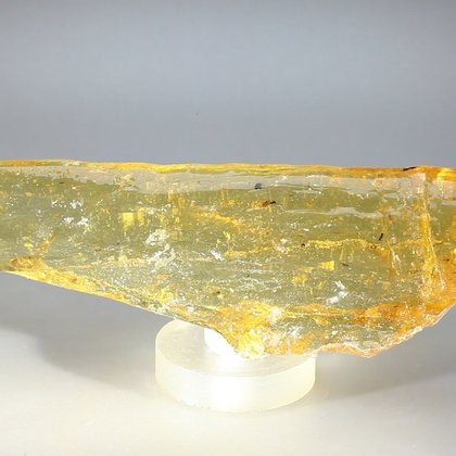 BEAUTIFUL Insect in Copal (Amber) Specimen ~133mm