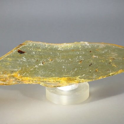 Insect in Copal (Amber) Specimen ~155mm