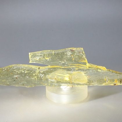 Insect in Copal (Amber) Specimen ~156mm
