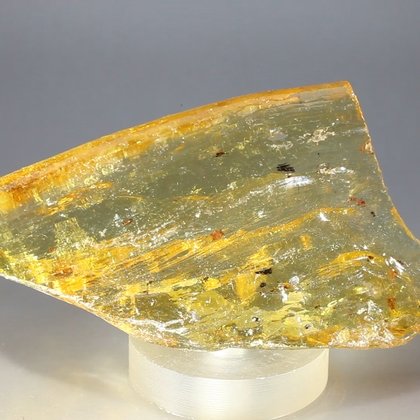 Insect in Copal (Amber) Specimen ~93mm