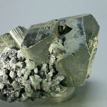 GOLDEN Iron Pyrite Healing Mineral (Extra Grade) ~69x52mm