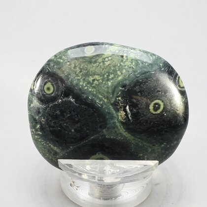 Kambaba Jasper Flat Tumblestone ~40mm