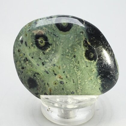 Kambaba Jasper Flat Tumblestone ~47mm