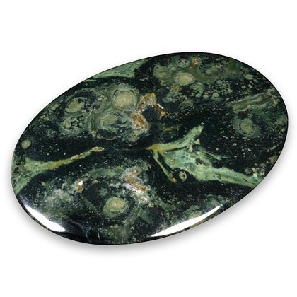 Kambaba Jasper Palm Stone 2 1/2" Massage Polished Rocks Mineral Healing Crystal 