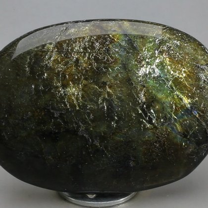 Labradorite Palmstone (Extra Grade) ~70 x 50 mm