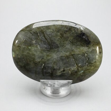 Labradorite Palmstone (Extra Grade) ~70 x 50mm